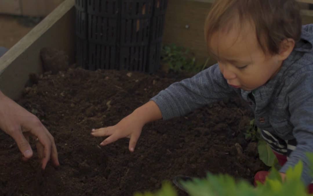 Repost: 8 out of 30+ Organic Techniques in the Garden