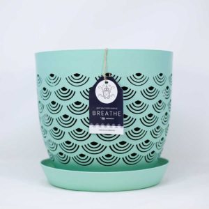 BREATHE Mint