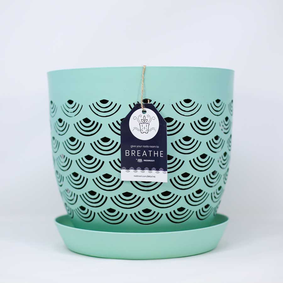 BREATHE Mint