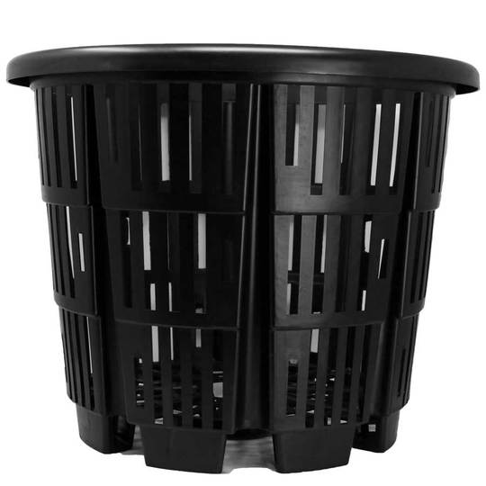 No 15 rediroot plastic pot