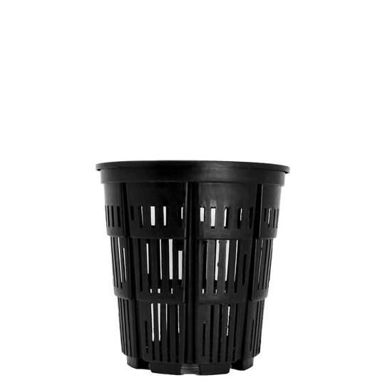 No 2 Rediroot pot