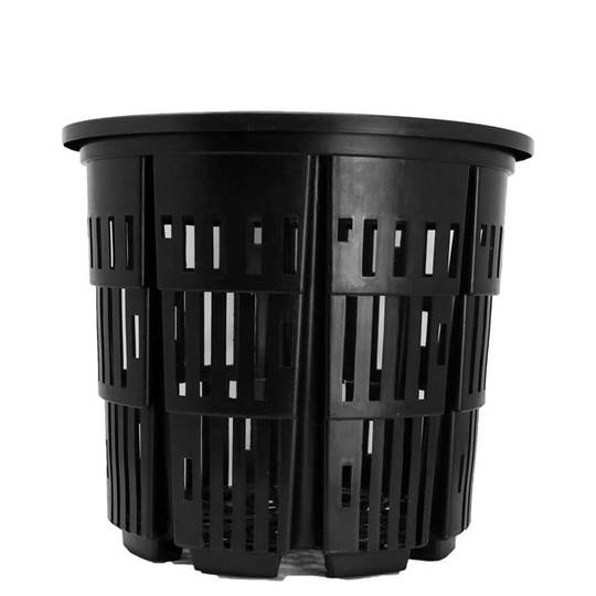 No 7 rediroot plastic pot
