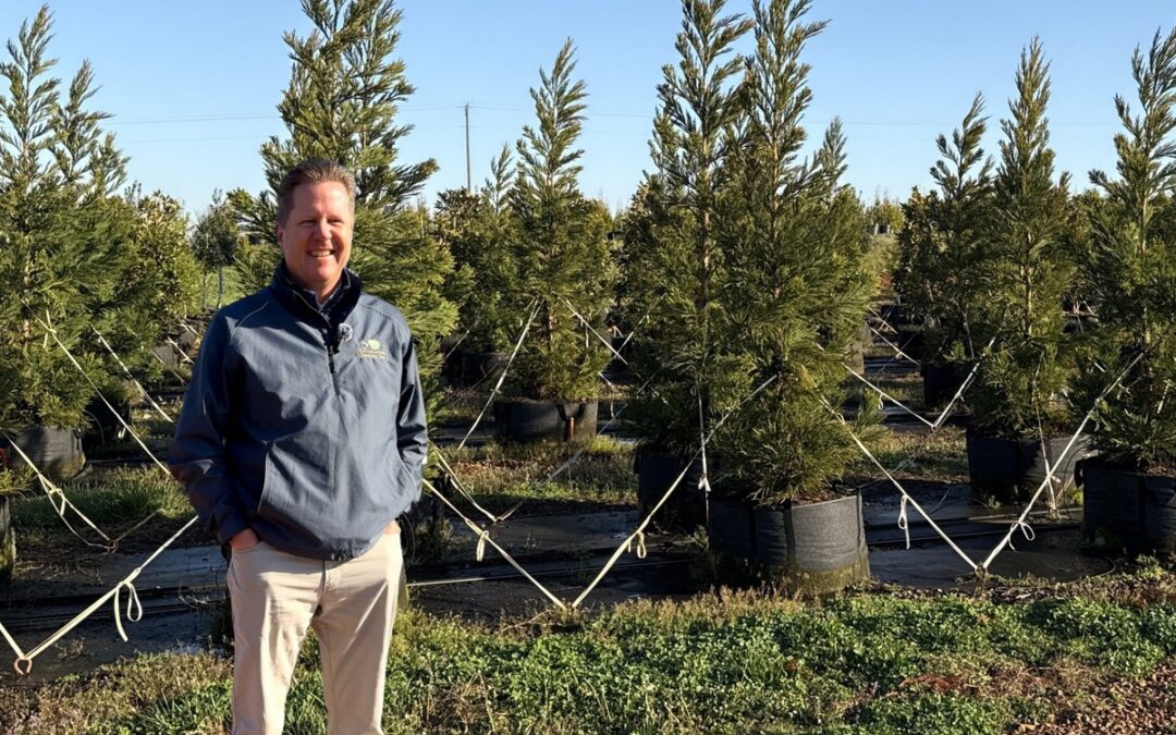 Why Landscapers Love RediRoot — Less Cleanup, Better Roots | Brian Lawrence, Southeastern Growers
