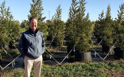 Why Landscapers Love RediRoot — Less Cleanup, Better Roots | Brian Lawrence, Southeastern Growers